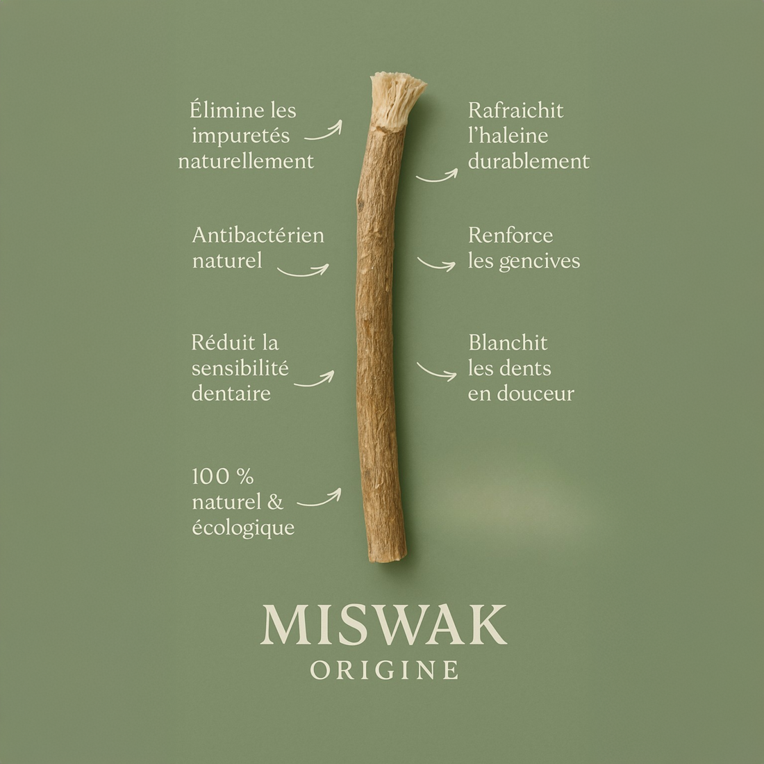 Les bienfaits du miswak : votre allié pour une hygiène dentaire optimale