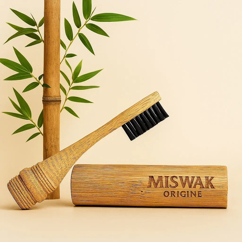 Brosse à dents Miswak Pro – écologique et confortable Miswak Origine
