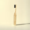 Brosse à dents Miswak Pro – écologique et confortable Miswak Origine