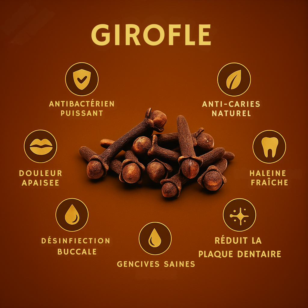 Miswak Clove - Anti Caries - XXL 170G