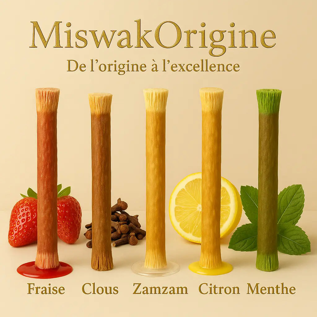 Siwaks Multi-Saveurs – Goûts variés, bienfaits inchangés Miswak Origine
