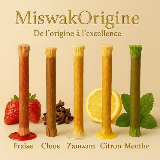 Siwaks Multi-Saveurs – Goûts variés, bienfaits inchangés Miswak Origine