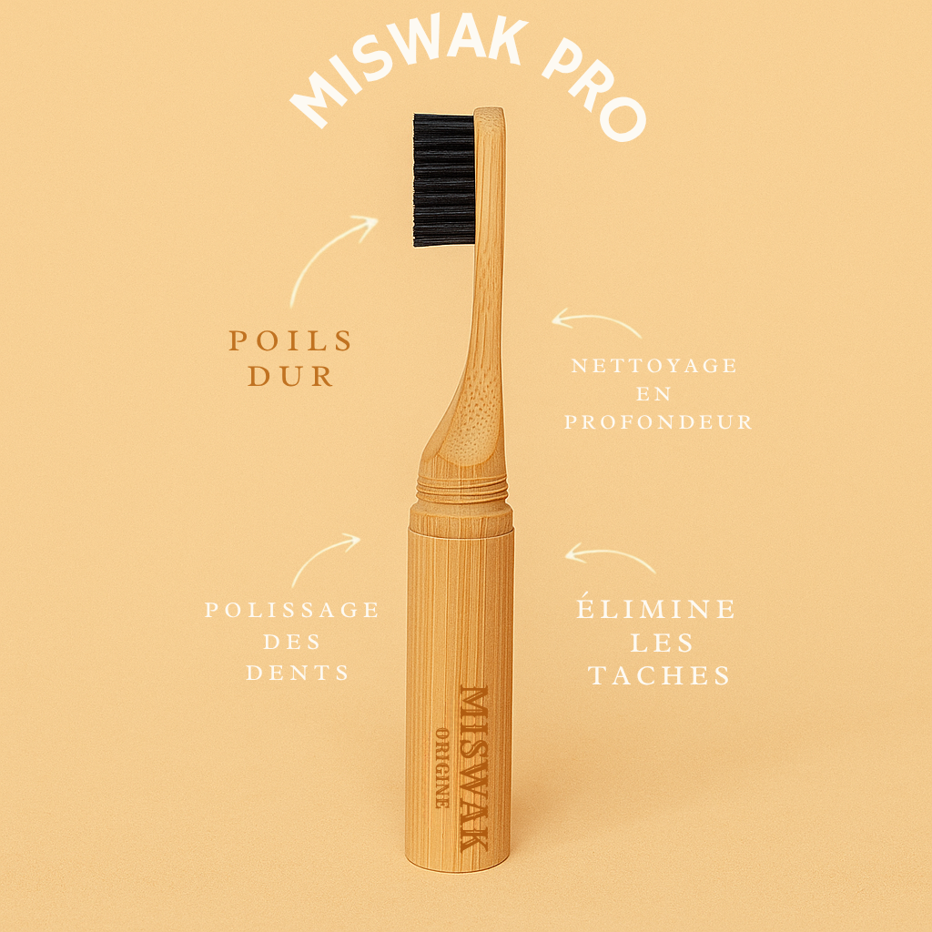 Miswak Pro – refermable et confortable