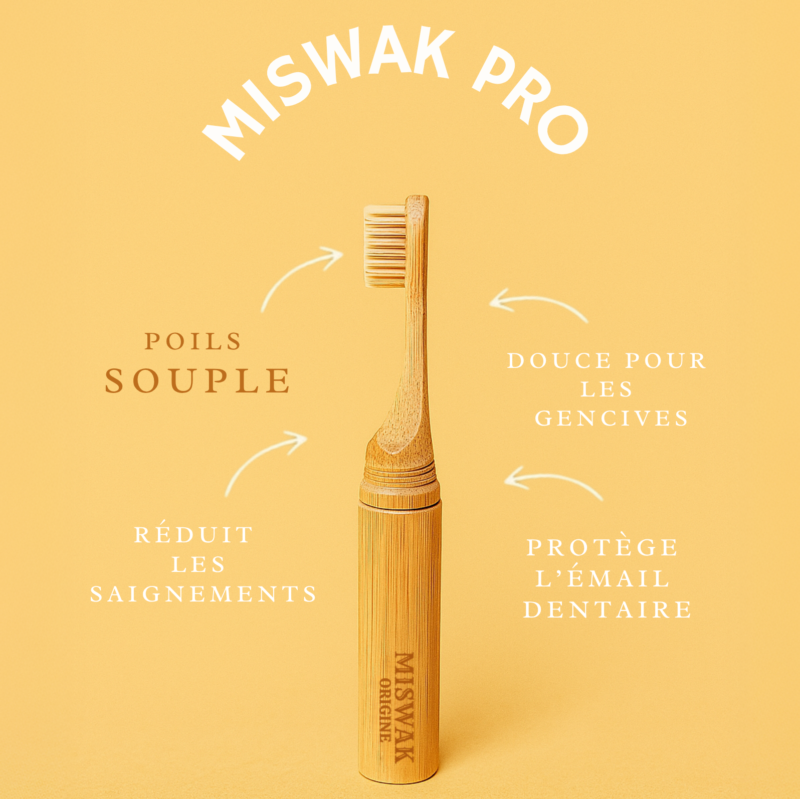 Miswak Pro – refermable et confortable