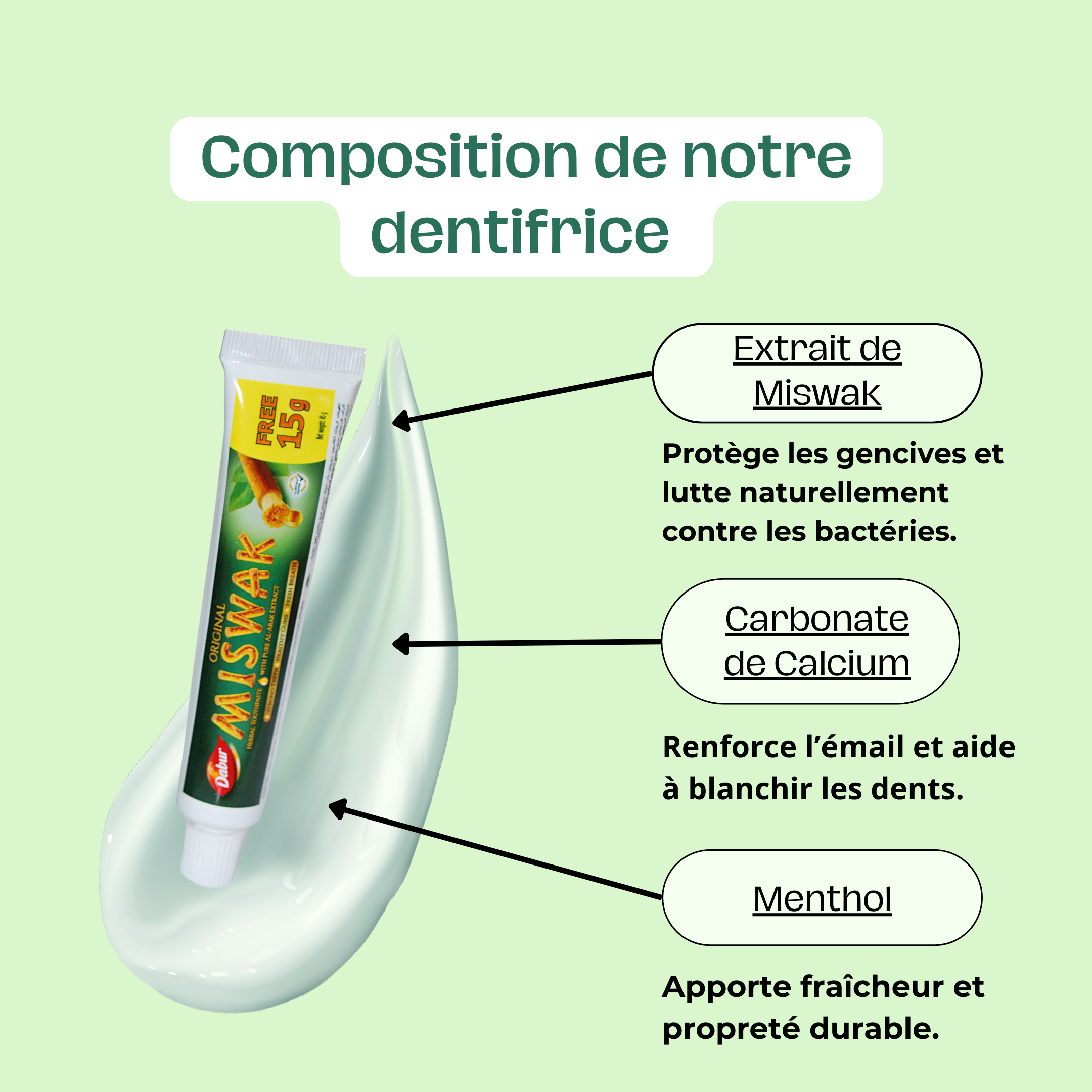 Miswak Original Mini Miswak Origine